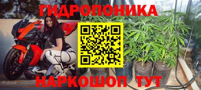 герыч Шебекино