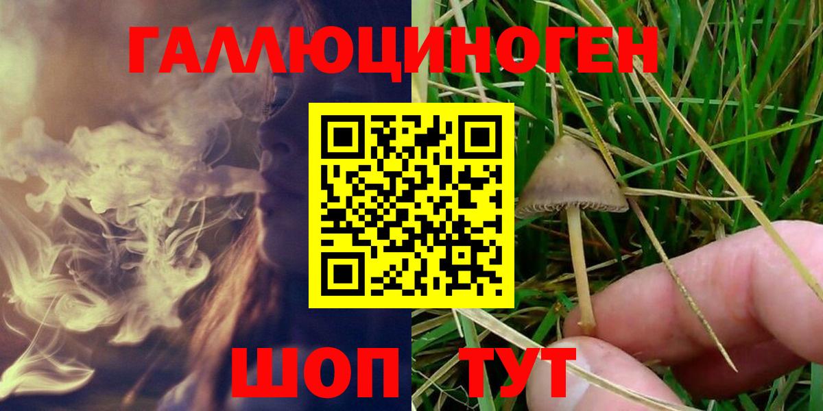Нововоронеж  Псилоцибиновые грибы мицелий  Вход с VPN 
