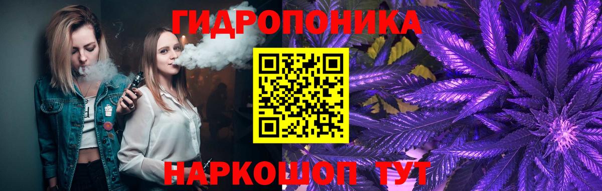 МАРИХУАНА сатива Нововоронеж